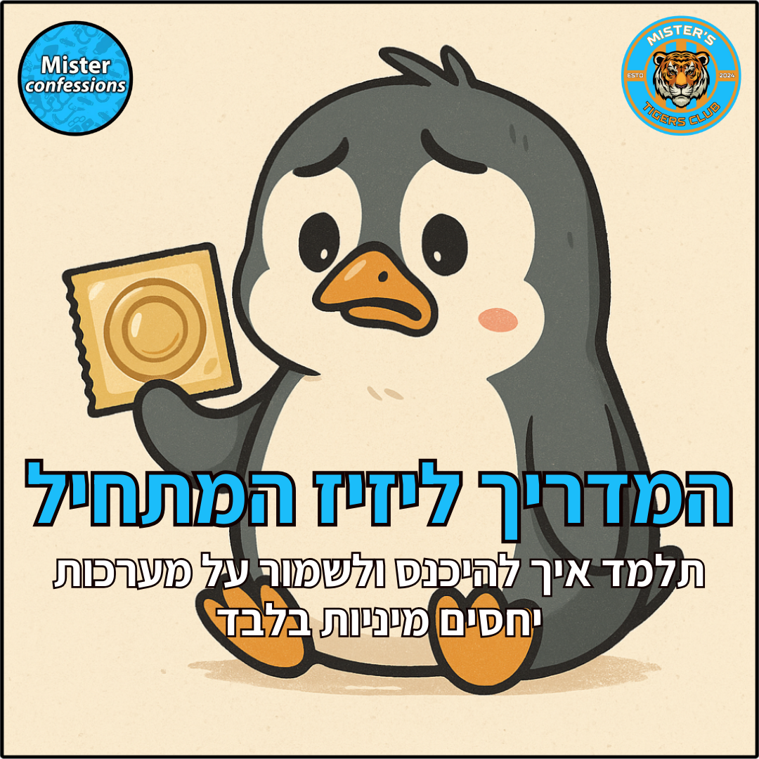המדריך ליזיז המתחיל